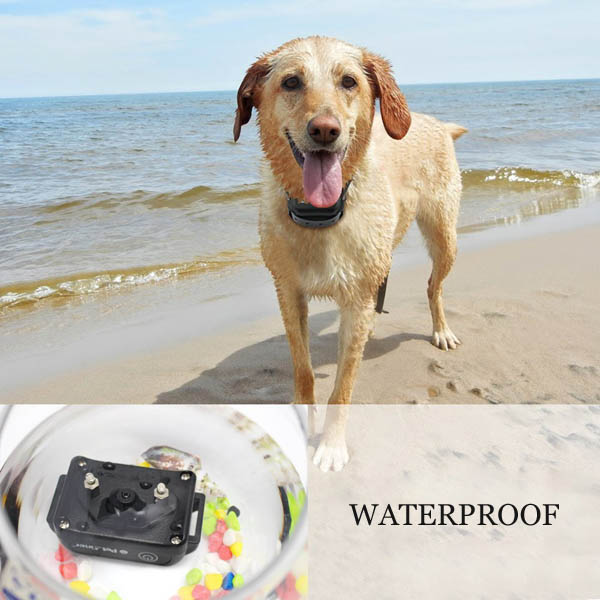 Waterproof Dog E-Collar Trainer with remote Rechargeable E-Collar for 2 Dogs