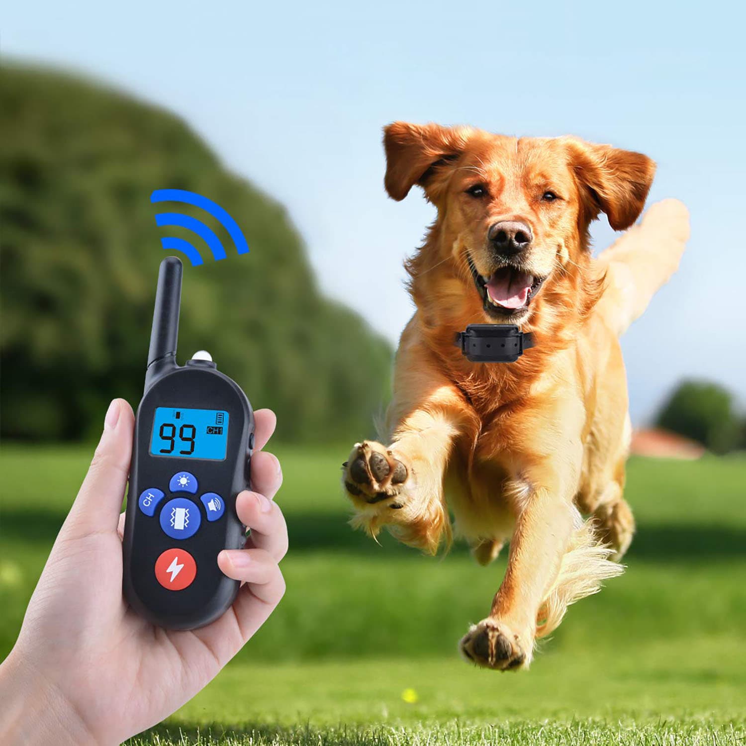 Dog Training Collar with M556 Rechargeable Remote Transmitter