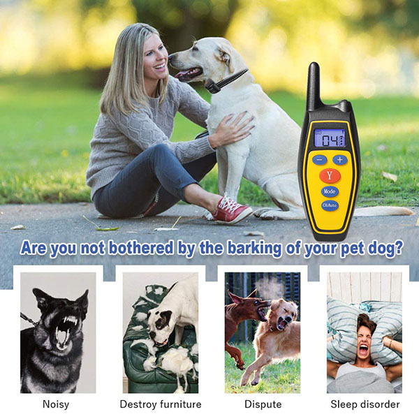 2 in 1 Remote Dog Training Collar Automatic Anti Bark Control with Rechargeable and Waterproof