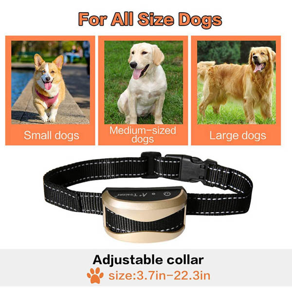 Remote Dog Training Collar with Waterproof and Rechargeable electric dog collar