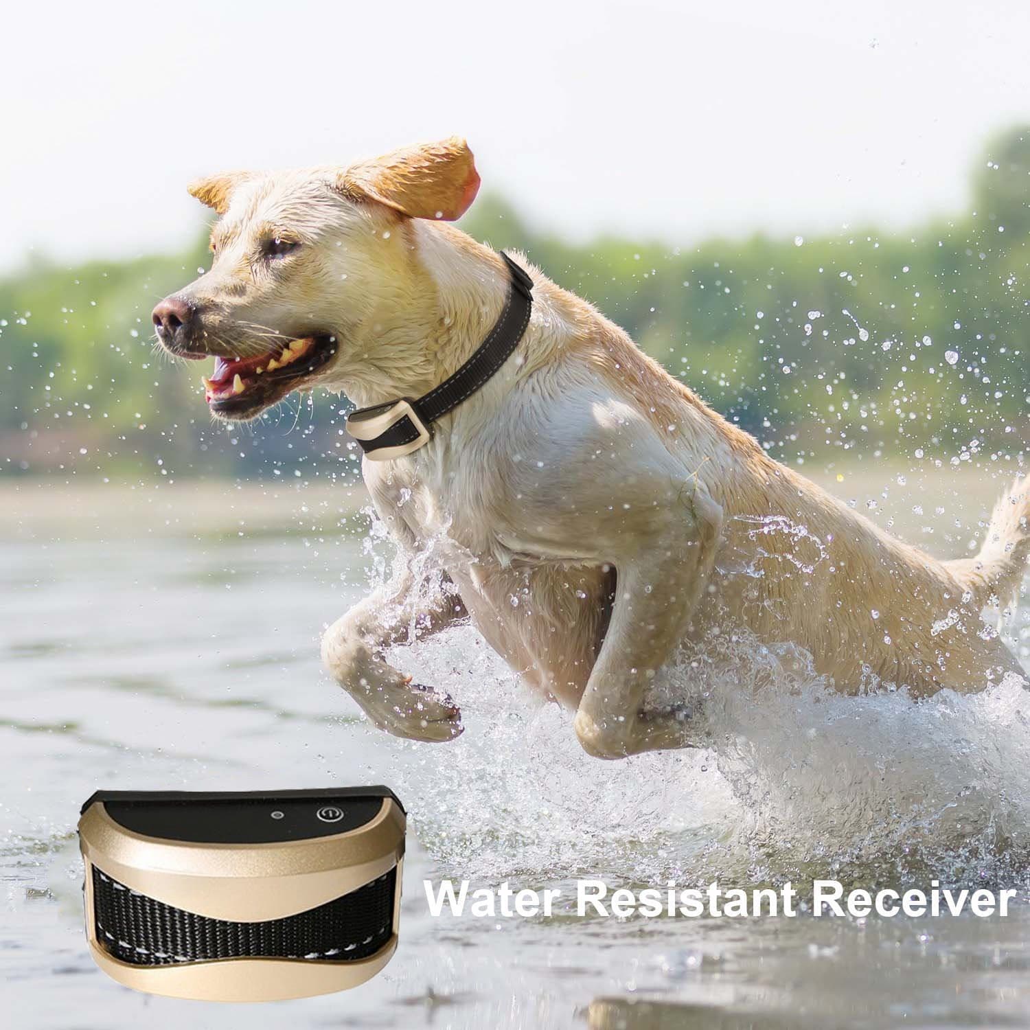 Remote Dog Training Collar with 800 Yards dog shock collar for 2 dogs