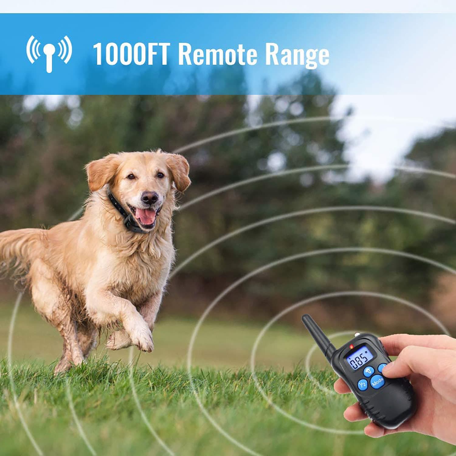 Rechargable 330YD Remote Dog Training Shock Collar for 2 Dog